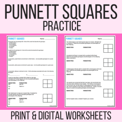 Punnett square practice worksheet answer