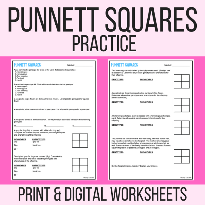 Punnett square practice worksheet answer