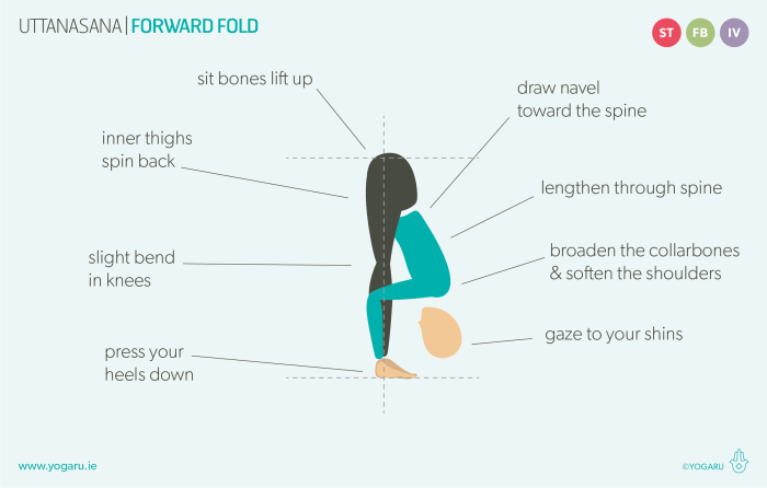 Bend as a muscle crossword