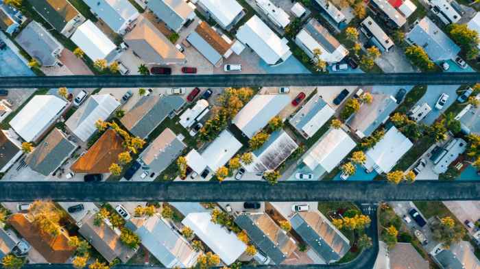 The city planners by margaret atwood