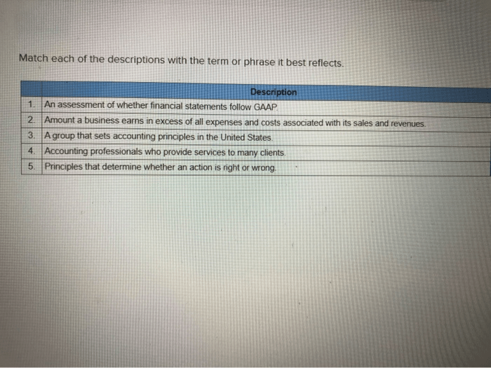 An assessment of whether financial statements follow gaap