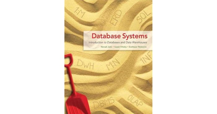 Database systems: introduction to databases and data warehouses