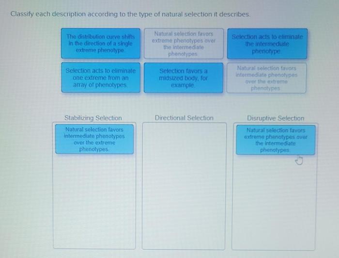 Classify each description according to the type of organic nutrient.