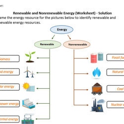 Color by number renewable nonrenewable answer key